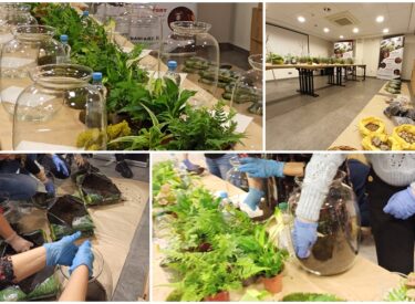 Warsztaty Las w Słoiku