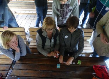 Gra Farma – odsłona plenerowa