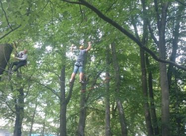 Zajęcia dla HUTCHINSON